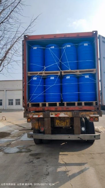 BIG BARREL 170KG/255KG BIG BARREL 170KG/255KG