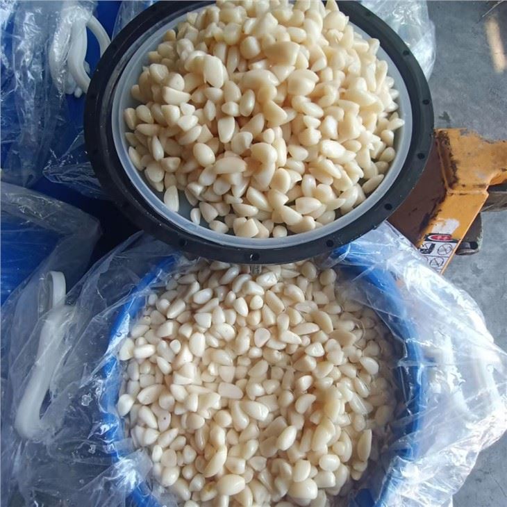 New Crop Pickled Garlic In Brine